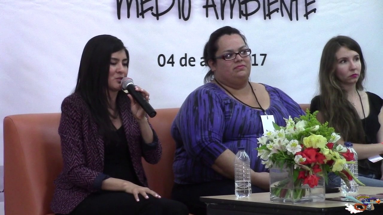 MESA3 Preguntas y Respuestas 8 CIHCyM