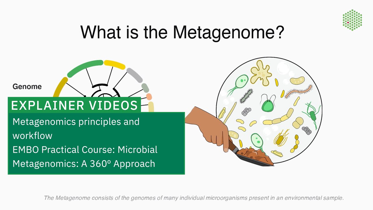 Metagenomics principles and workflow