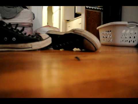 METAL STOMP AN ANT IN 2 OBLIVION
