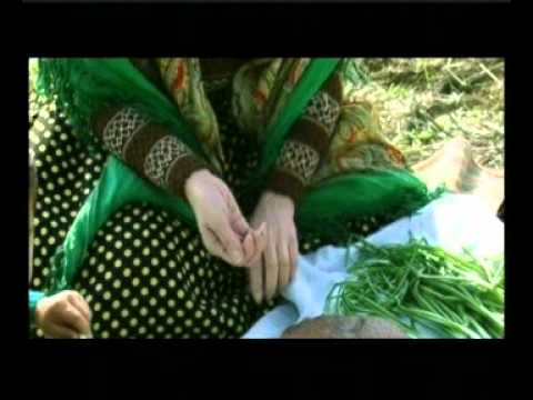 Metanet Iskenderli-Derd verdin.Rollaarda:Metanet,balaca Kenan ve Teravet.ismayilli