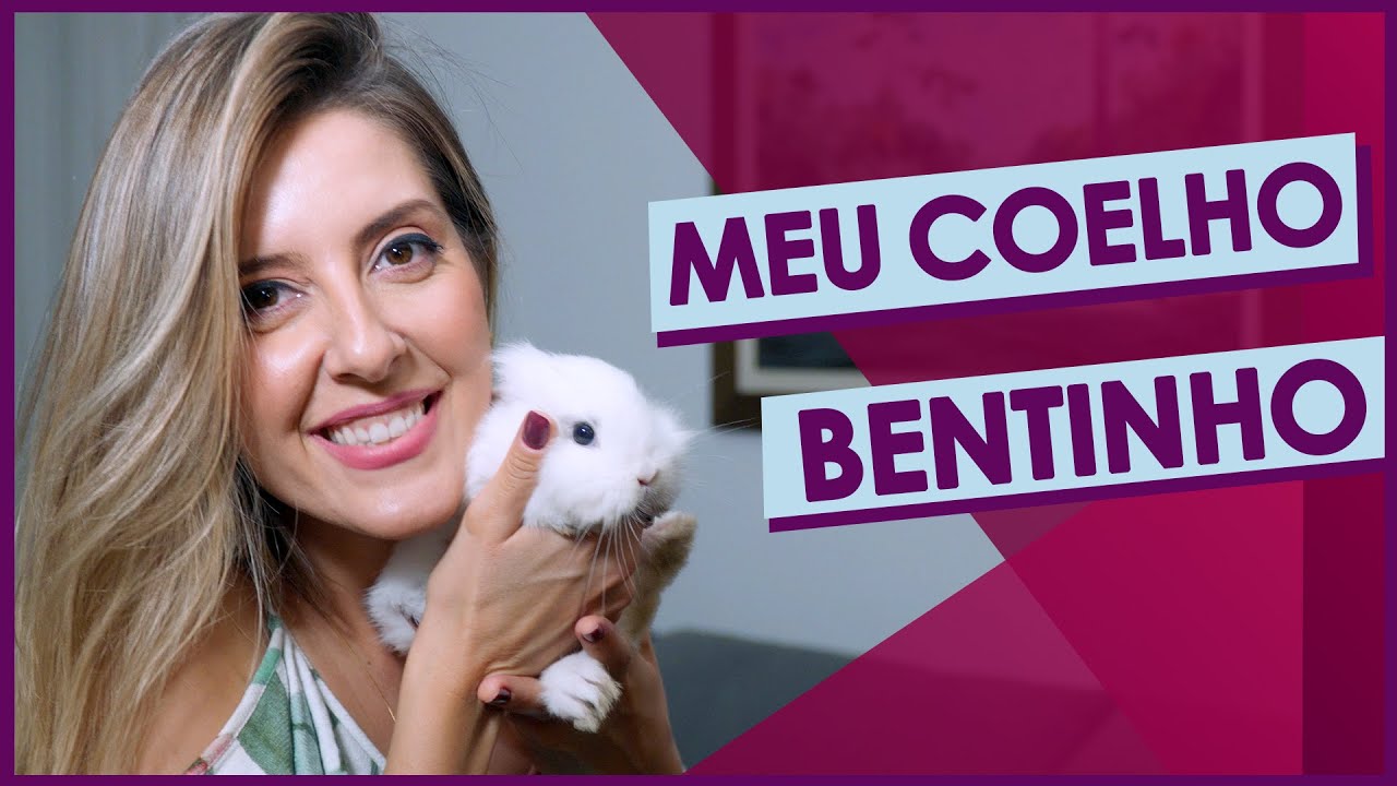 MEU COELHO BENTINHO + COMO CUIDAR DE UM COELHO