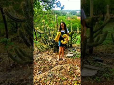 Meu Lomotif de fotos de 13 anos🎶❤