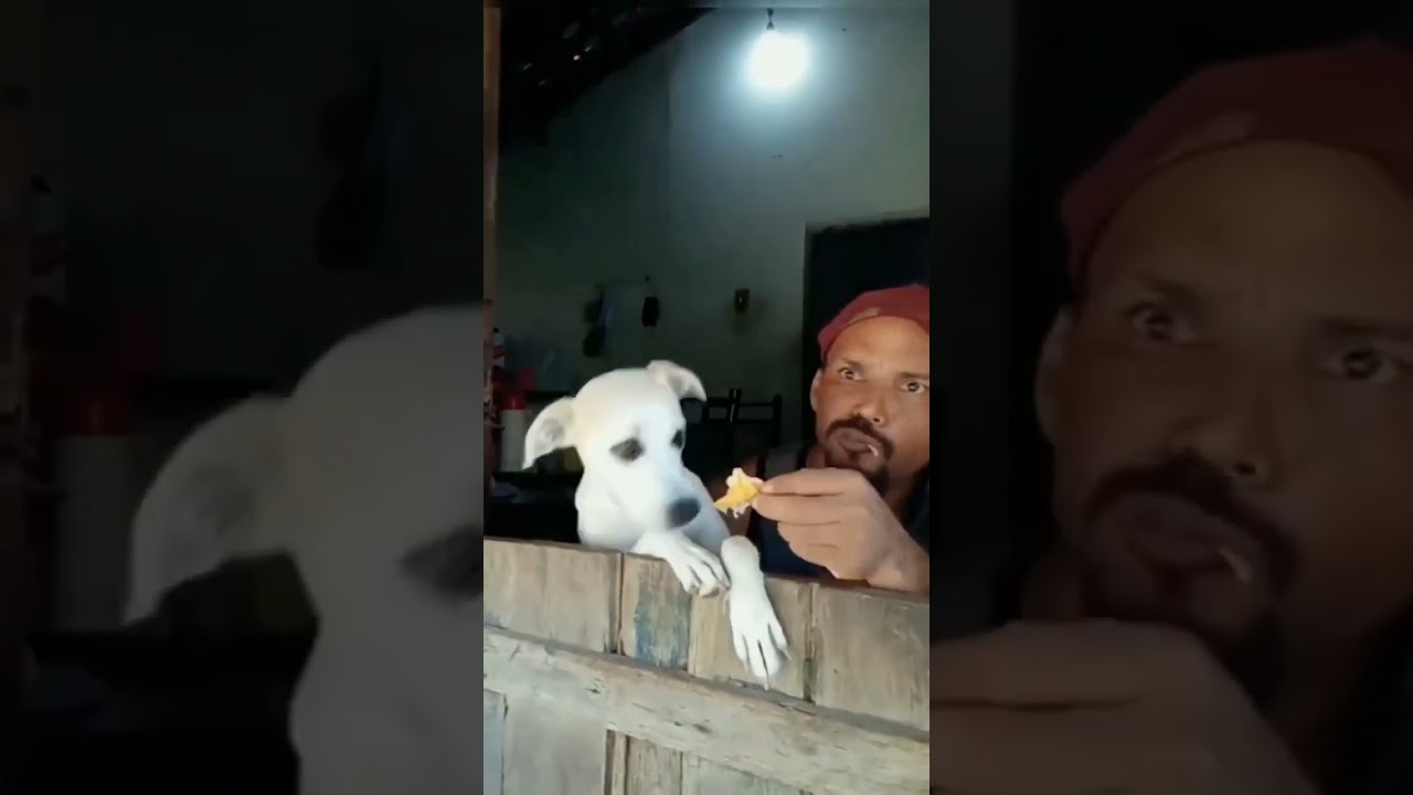 Müge Anlı ile Tatlı Sert/ Gocan Eniştemi Dosyası 🗂📺 :)