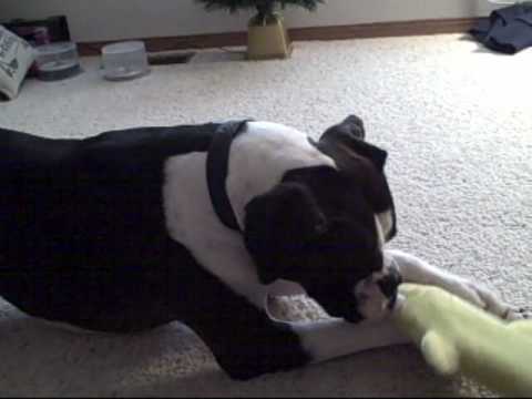 Mia - Christmas 2009