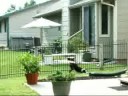 Mia fetching in back yard - Aug 2008