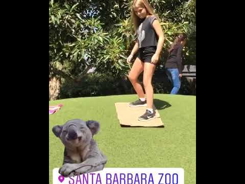 Mia Talerico Tik Tok