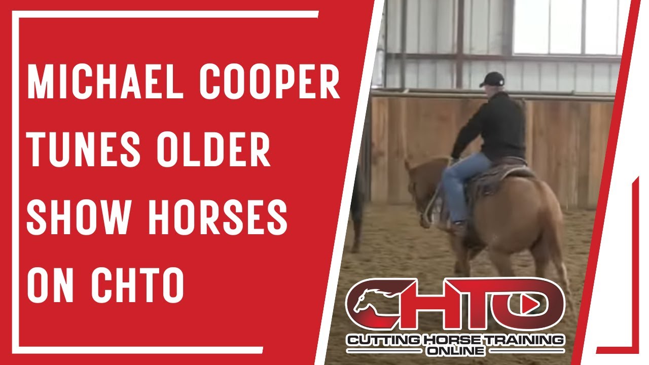 Michael Cooper Tunes Older Show Horses On CHTO