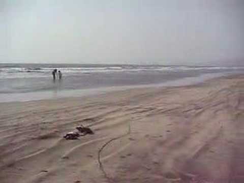 Michael on the beach