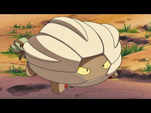 Michelle's Bagon evolves into Shelgon