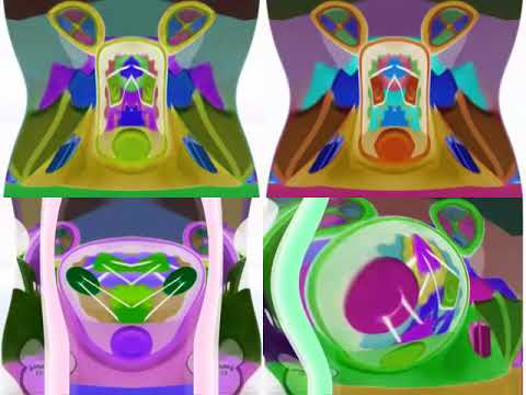 Mickey Mouse Clubhouse Hot Dog Song in Deaf, Deaf Major, Blind, Blind Major