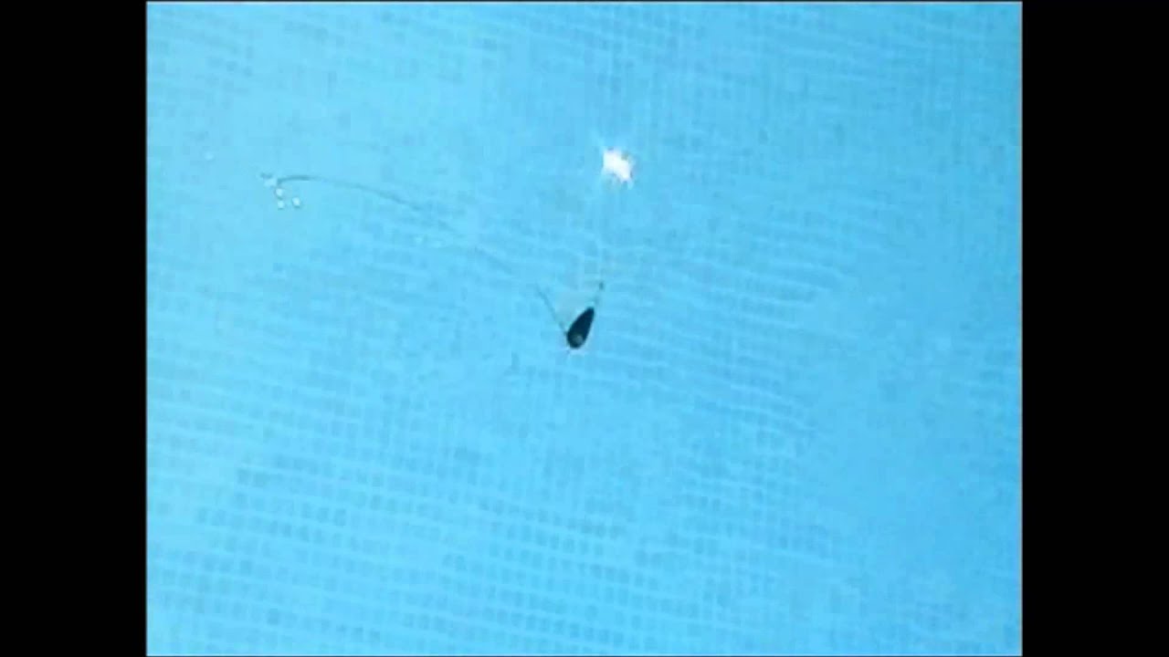 Micro Twitch