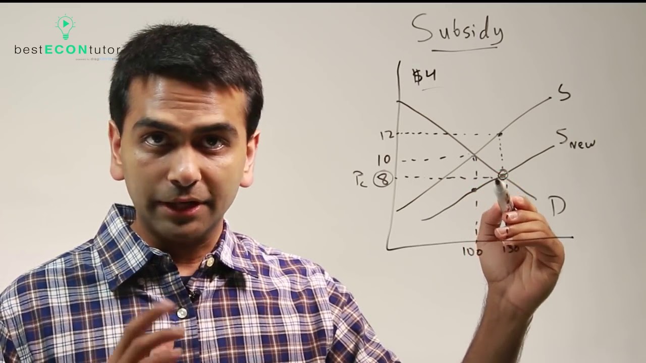 Microeconomics: Subsidy