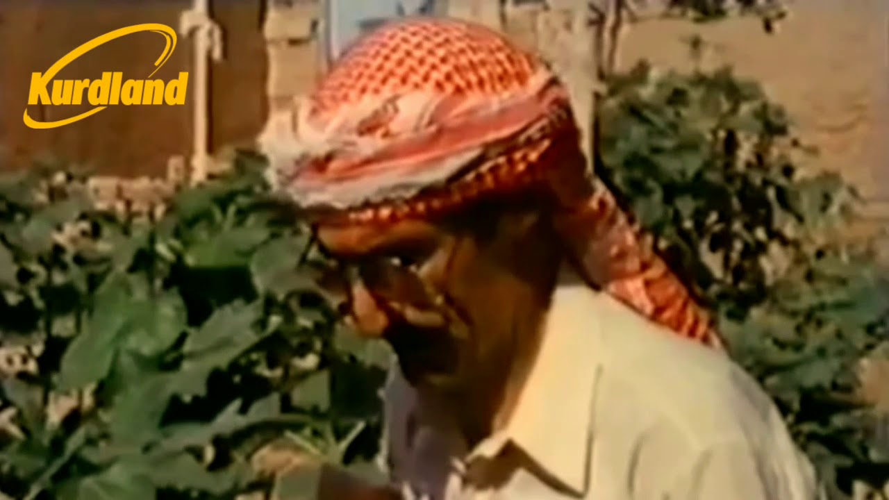 Mihemed Şexo - Ay Lê Gulê