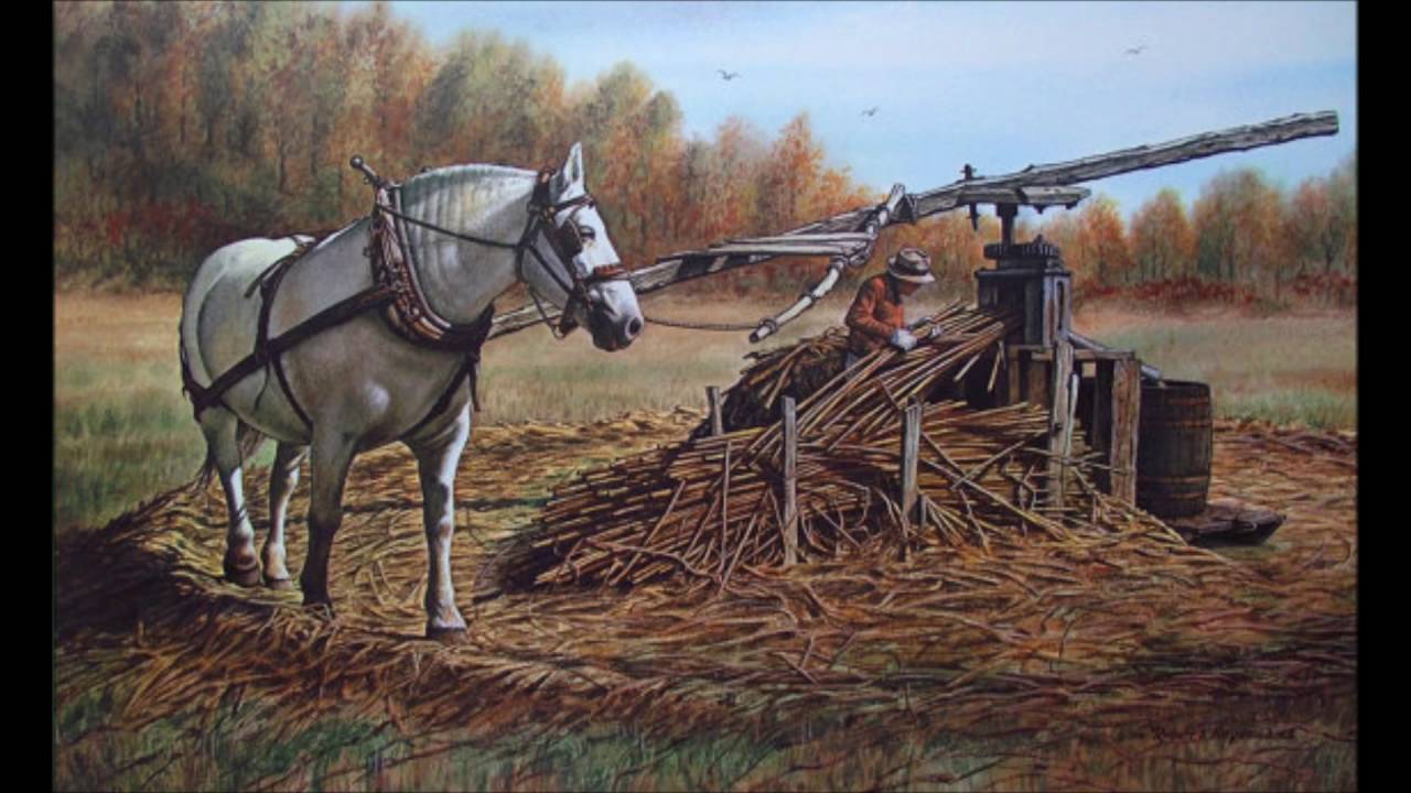 Milan Rakić - Dolap