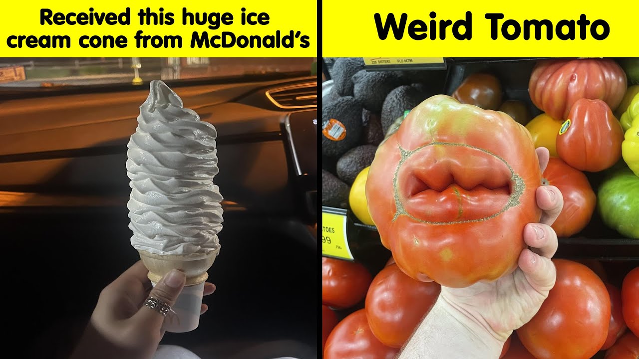 Mildly Interesting Photos - part 12
