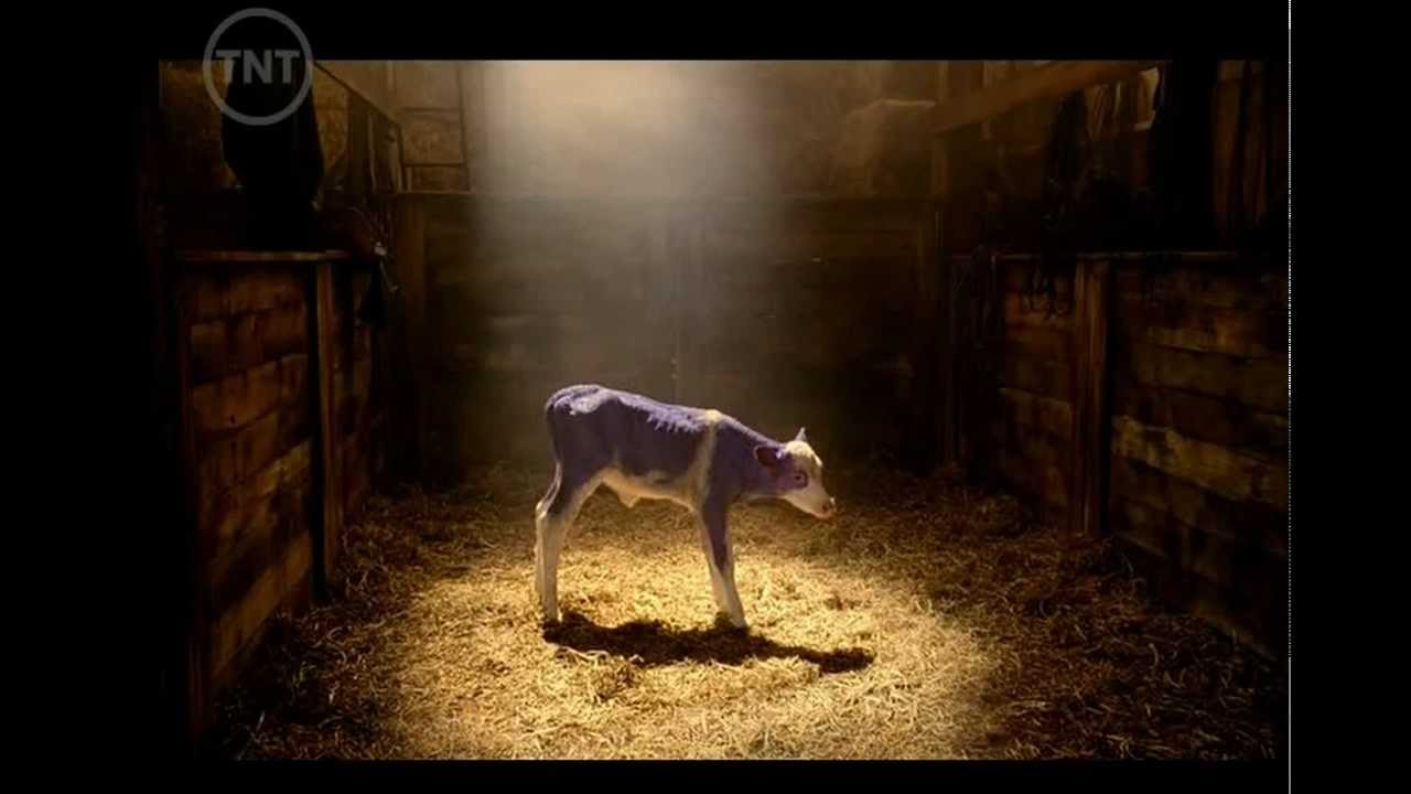 Milka Kalpleri Yumuşatan Mor İneğin Marifeti