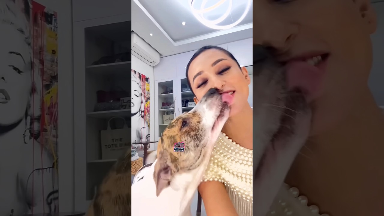 Mimi Chakraborty Kiss Her Pet 😘🔥 #mimichakraborty #mimi #pets #pet #petlover #celebritypets