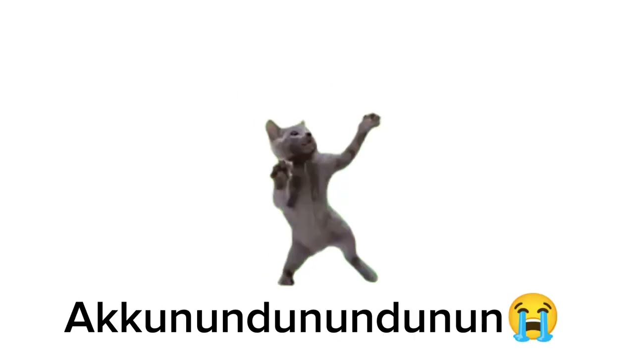 Mina mintip🤑 unheard lirik!1!1😱