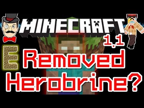 Minecraft 1.1 HEROBRINE ?
