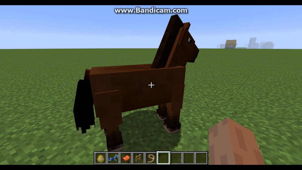 Minecraft At Nasıl Evcilleştirilir