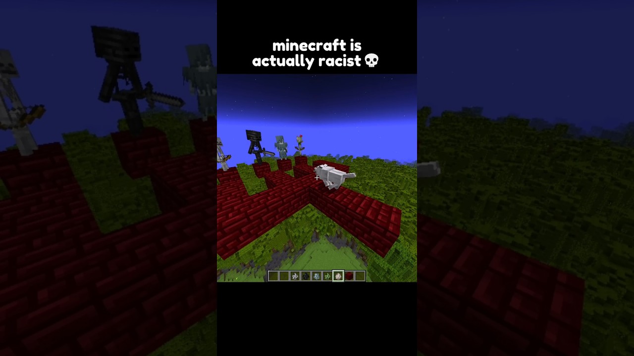 MINECRAFT DOG IS RACIST 💀#minecraft #shorts