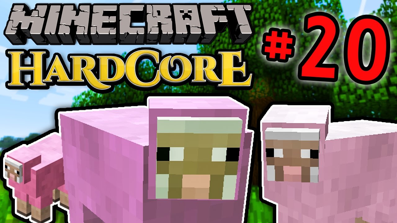 Minecraft HC #5! - Part 20 (BAD OMEN!!)