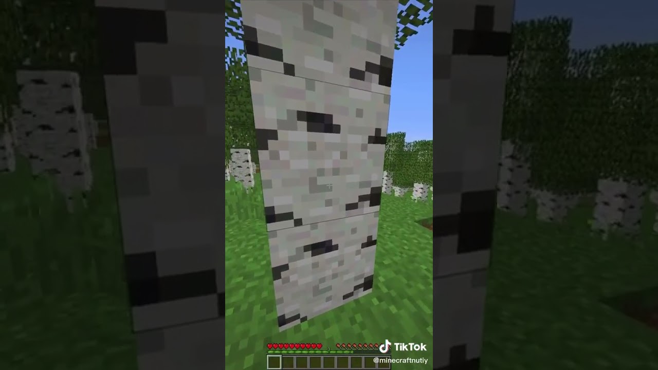 Minecraft #shorts #viral(4)