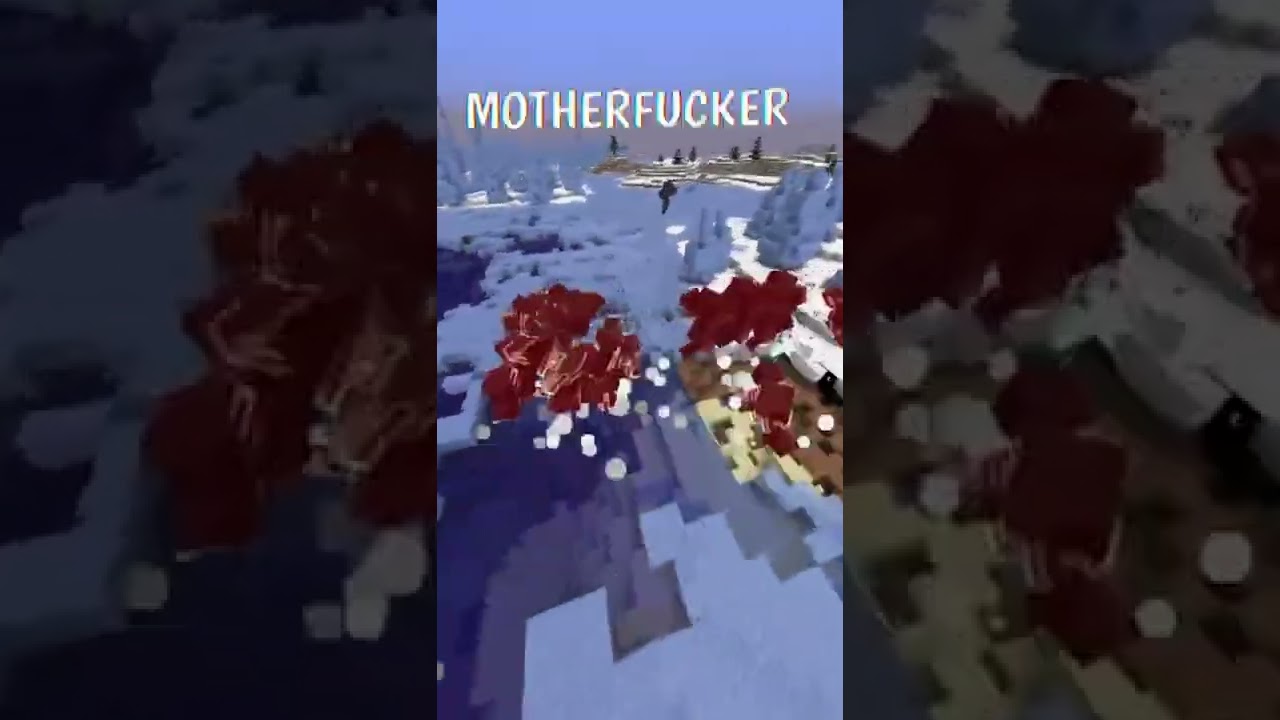 Minecraft Super DOG vs 100 WITHER 😳 #shorts