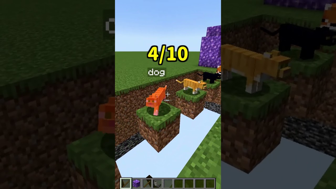 Minecraft: Who made MINGLE the best? 🤔#shorts