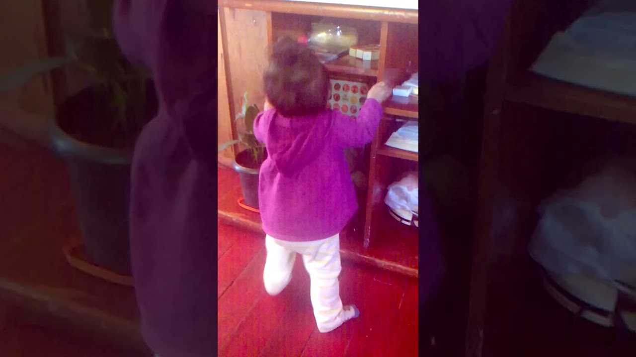 Mini fankerinha