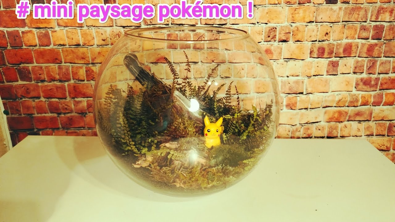 Mini paysage pokémon !