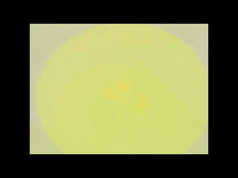 minimax shadow puppets id