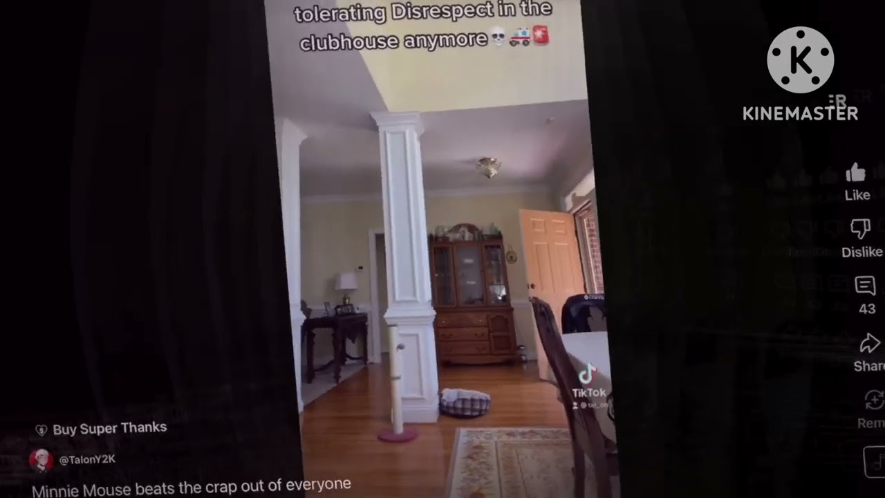 Minnie Mouse beats the crap out of everyone but I’m on the screen (CENSORED)