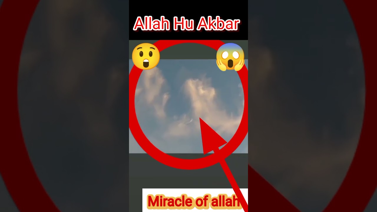 Miracle of Allah #allah #islam #shorts #trending