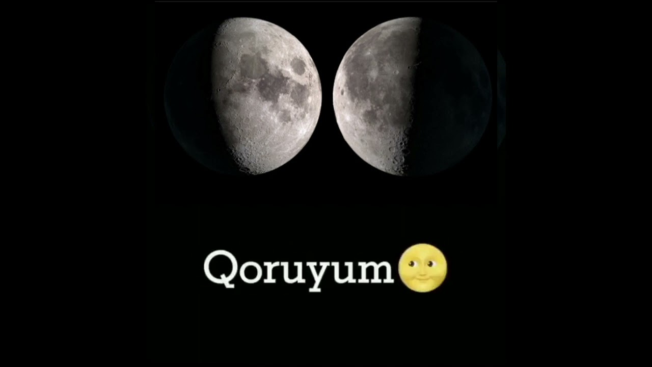 Miro - O menim heyatımın en böyük parçası | Sounds App | #yazılı  #shorts