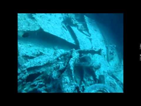 MISIR-KIZILDENİZ THİSTLEGORM BATIĞI