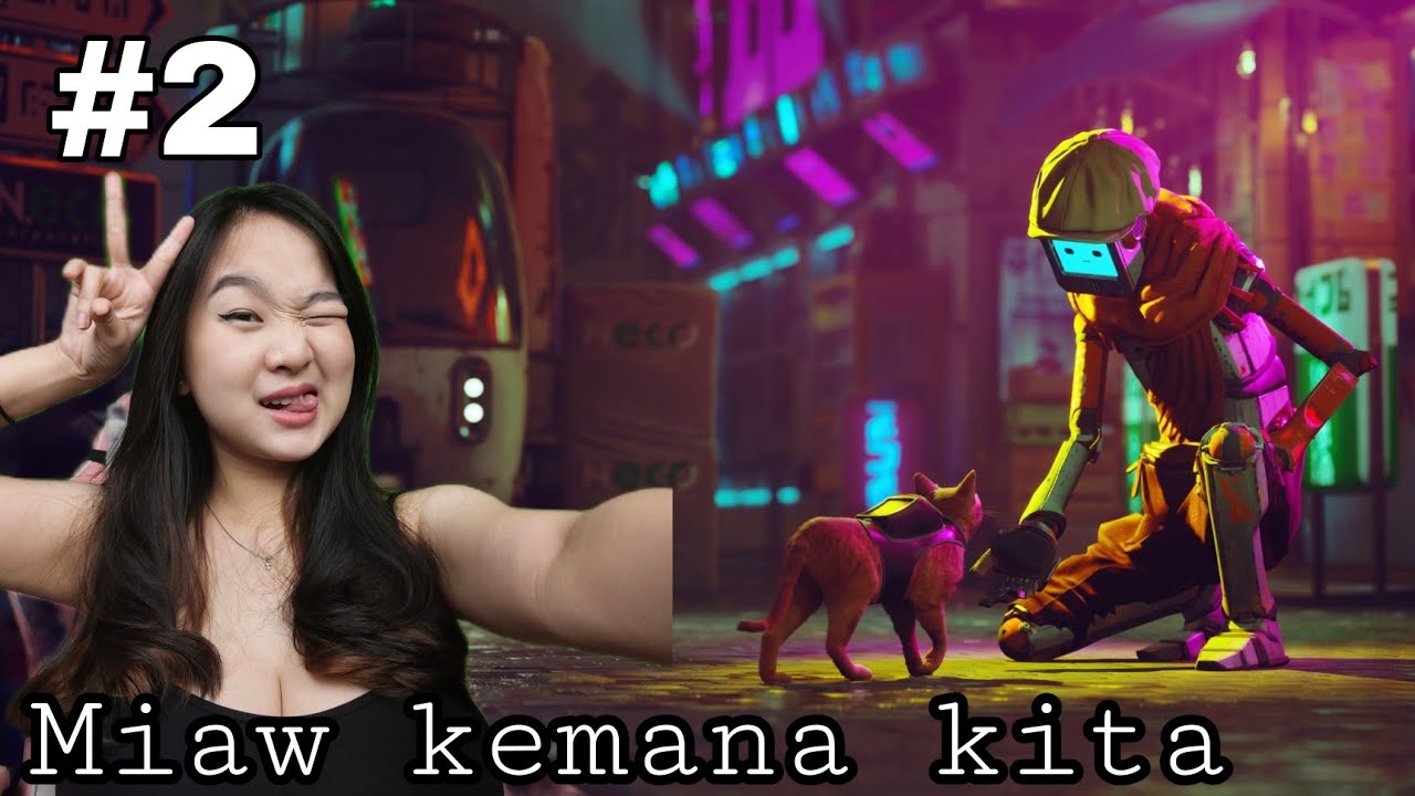 MJeyinca Miaww kemana kita - Stray Indonesia part 2