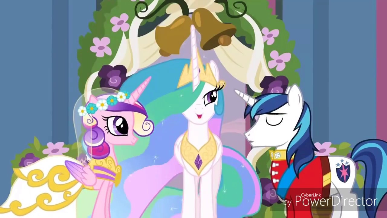 Mlp speak now pmv
