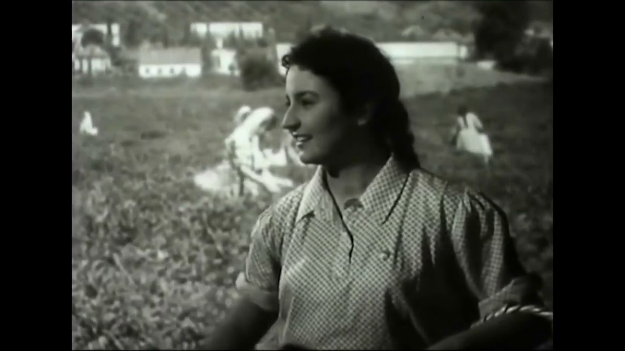 Mənim kimi gözəli sevməmək olmaz - Qızmar günəş altında filmindən (1957)