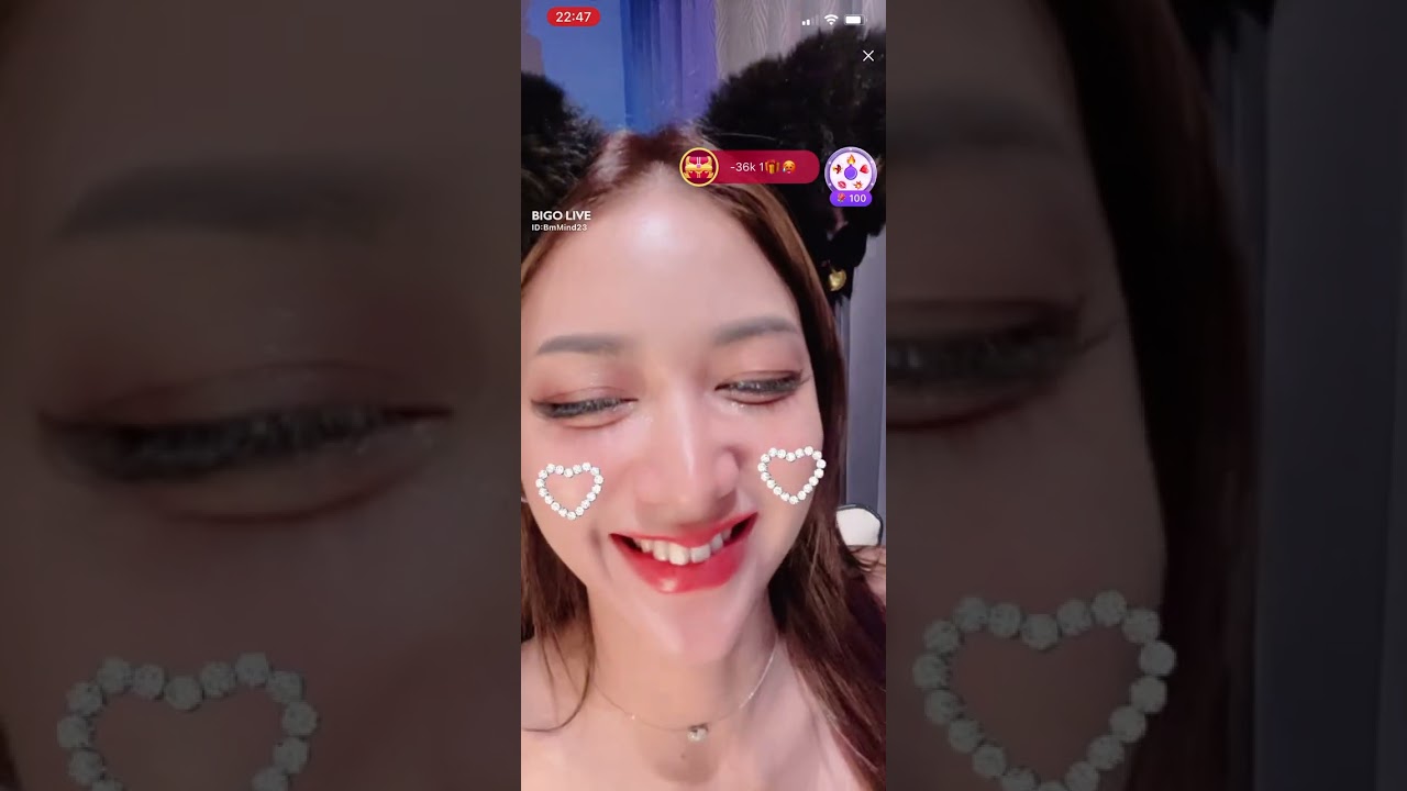 Mèo con nghịch trái cây