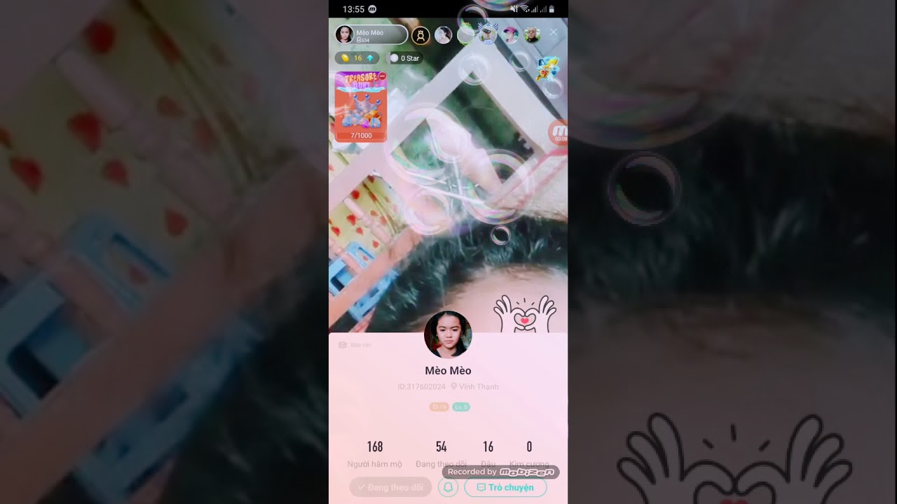 Mèo mèo bigo live