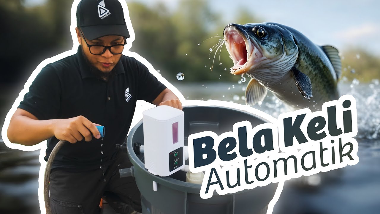 Modify sistem bela ikan keli automatik | Kekeli