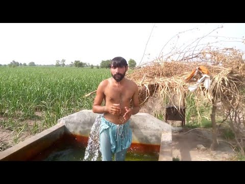 Mohsin with Anwar Langrial in tubewell ///Tubewell swimmer///