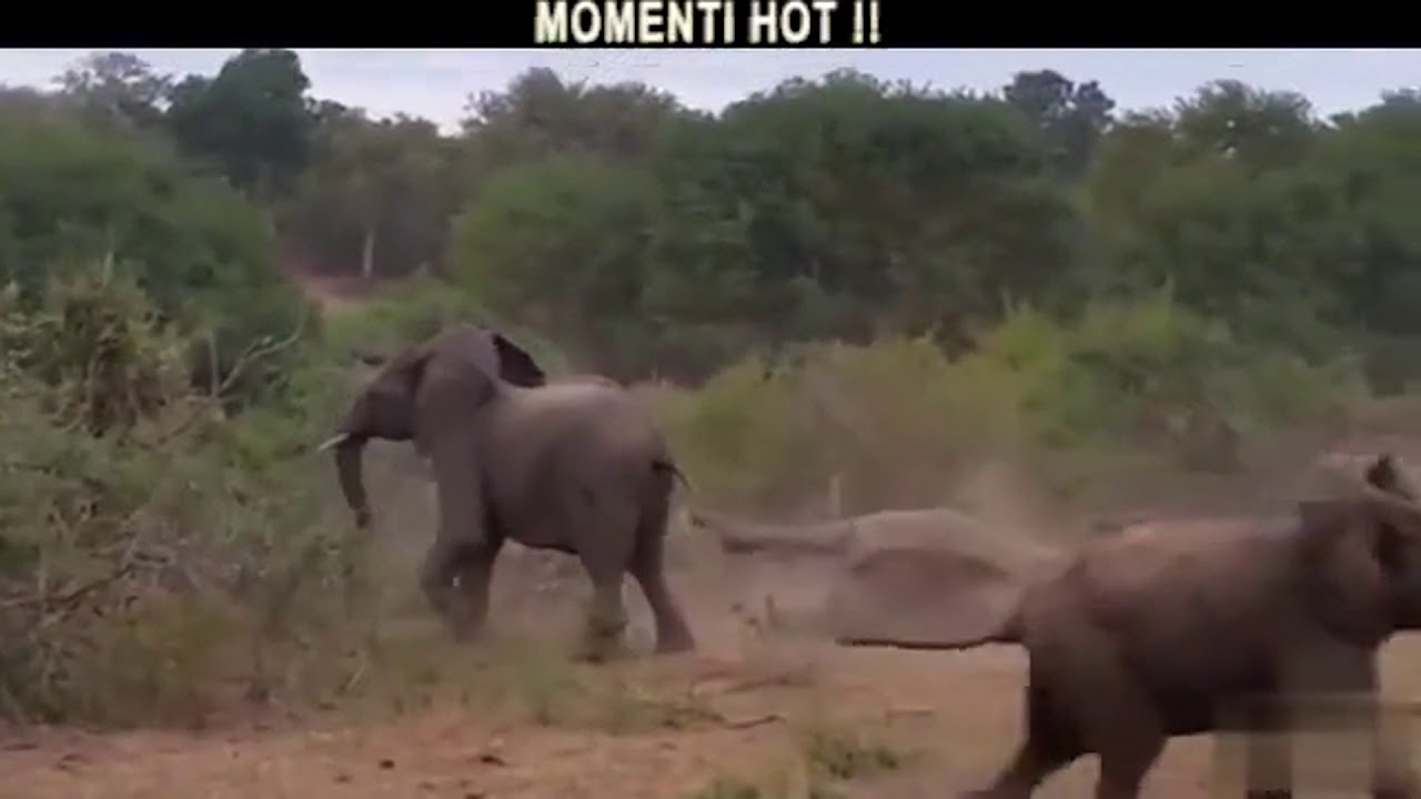momenti hot