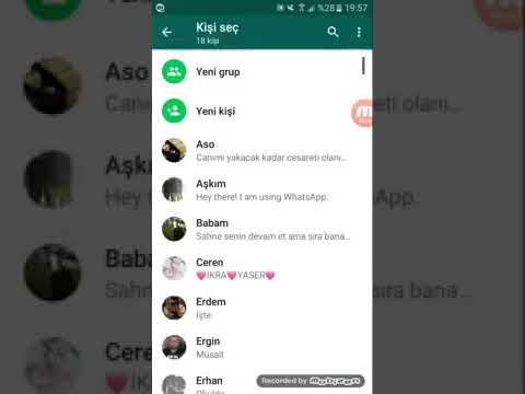 Momo nun telefon numarası