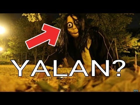 MOMO vs BELGOTÜRK AİLESİ !  MOMO 'nun HİKAYESİ