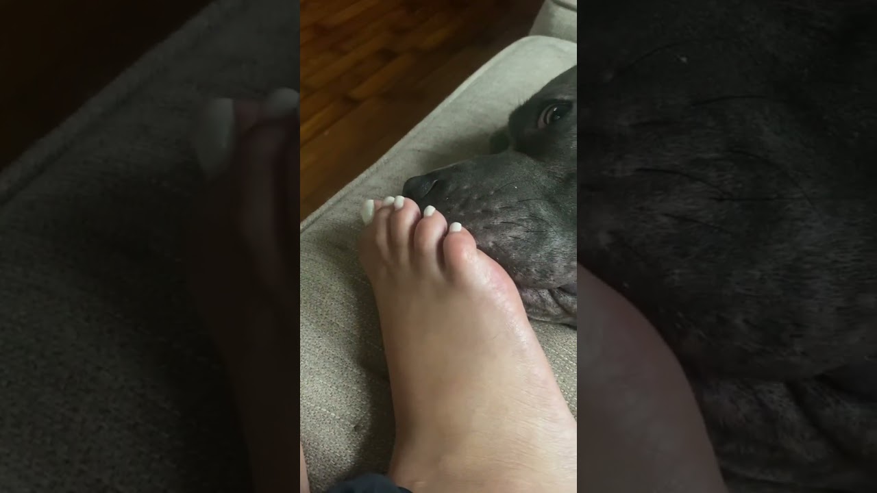 mom's feet put me to sleep 😴😂😂