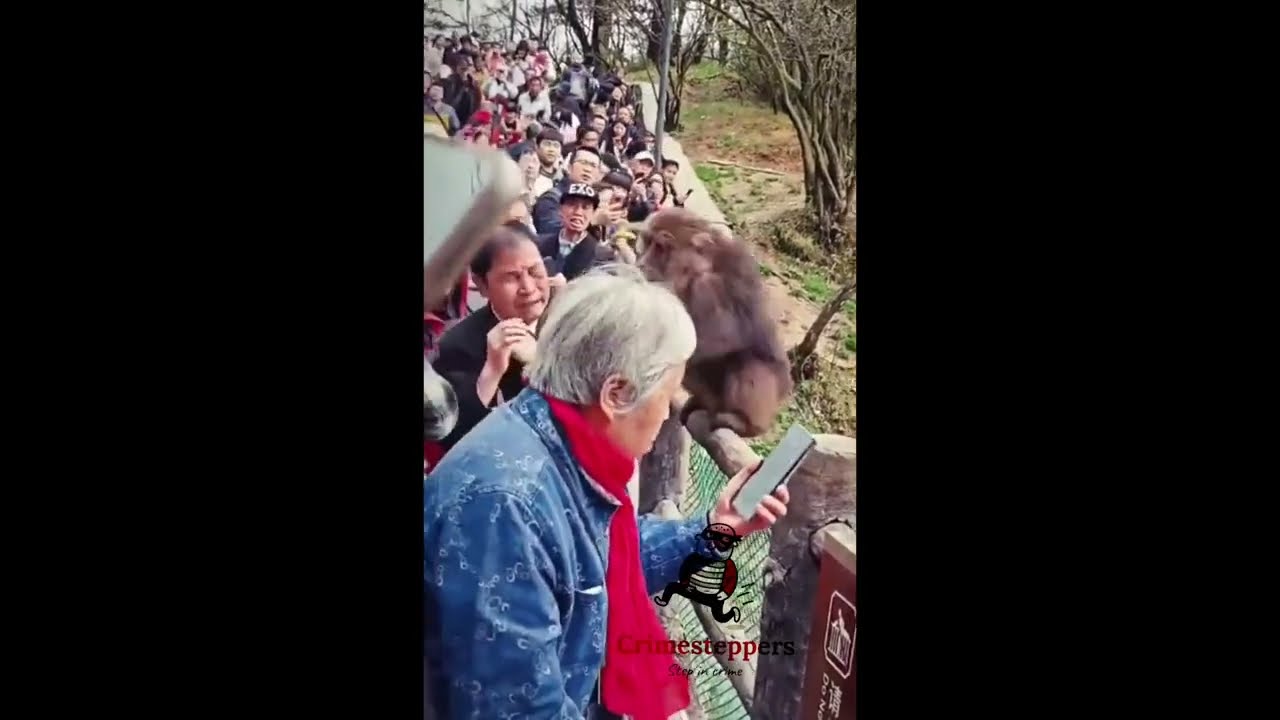 MONKEY BITES WRONG PERSON! #viscious #nochill #warning