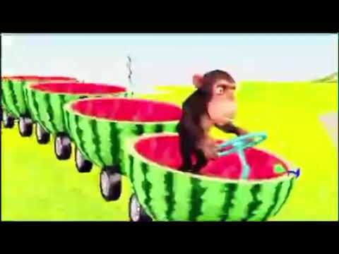 Monkey Watermelon Train (Full)