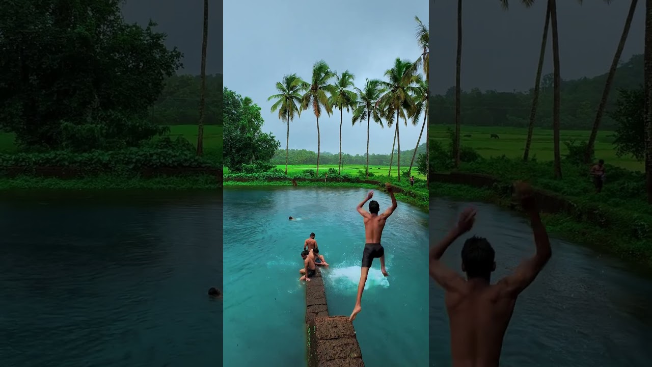 Monsoon Days in Kerala #shortsvideo #palakkad